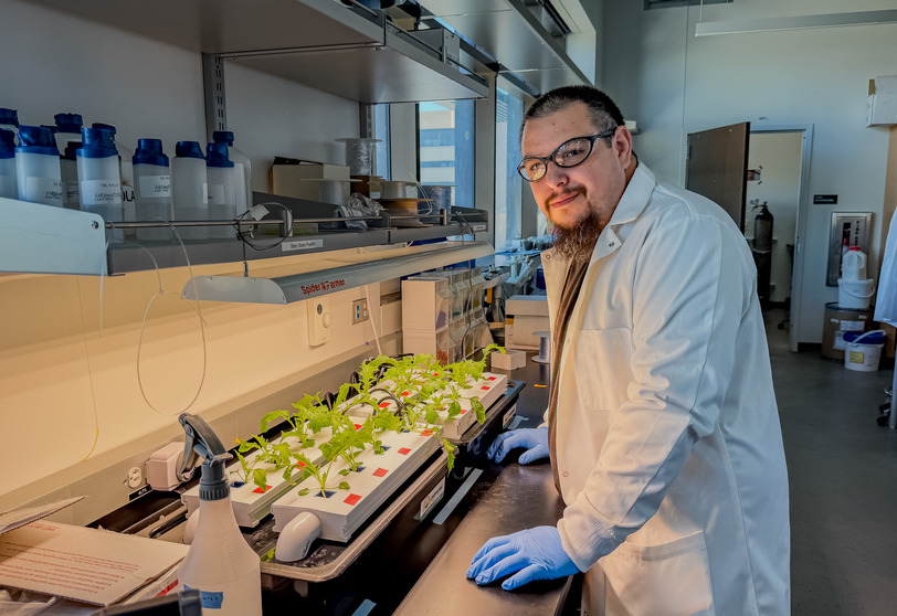 A student in a lab coat works in a hydroponics lab