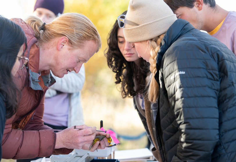 a graduate student helps another student while conducting field research outside