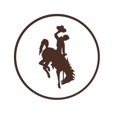 Bucking Horse Icon