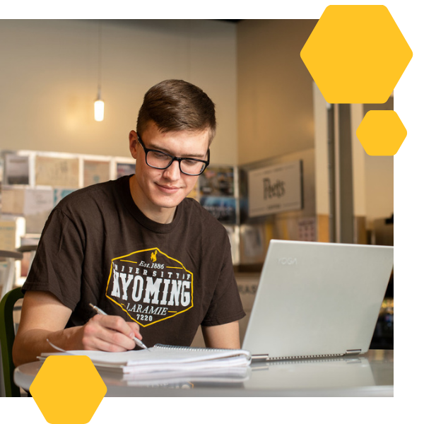 Student studying at laptop