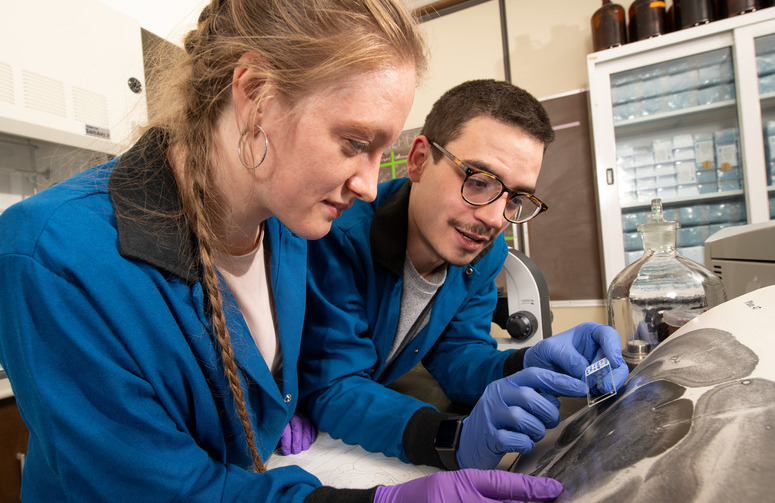 Two students work together in a lab