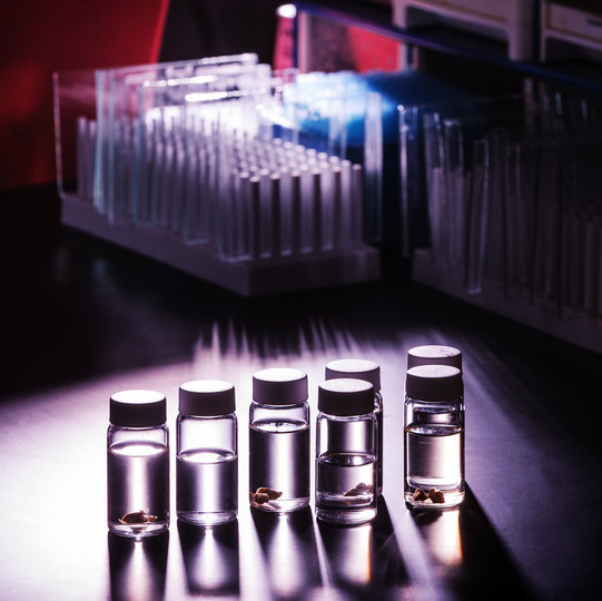 Testing vials on a lab station