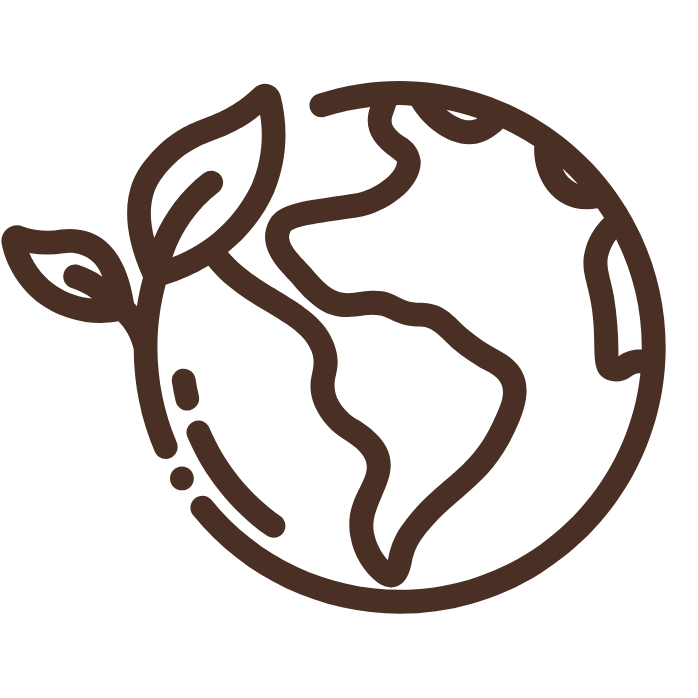A globe icon