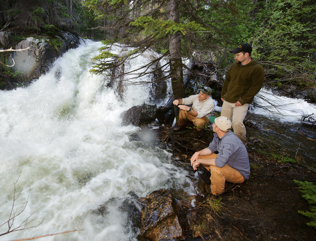 Three researchers examine a river together