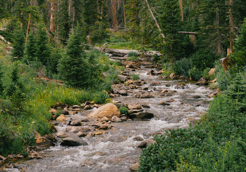 River