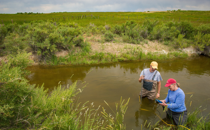 Hydrology professor and student wading in a pond with scientific instruments