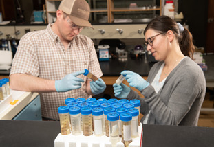 lab students looking at contents of tissue sample tubes