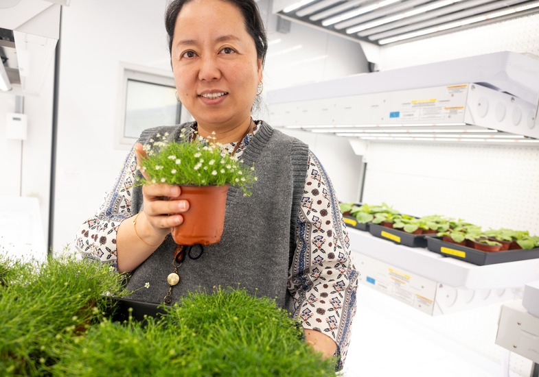 A researcher smiles for a photo while holding a plant