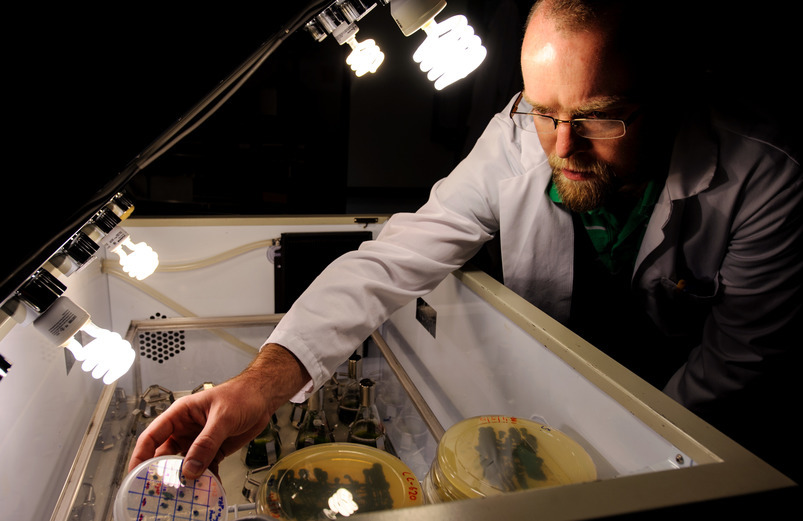 A scientist in a lab