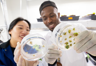 smiling lab students looking at contents of petri dishes
