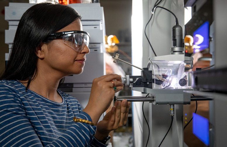 A student researcher looks through a microscrope