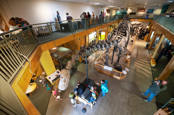 Geology museum viewed from top level