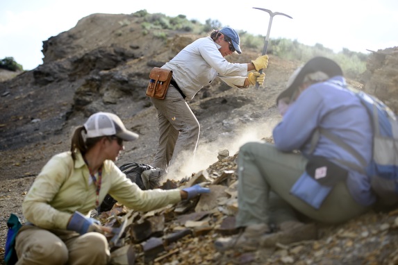 life science students in the field