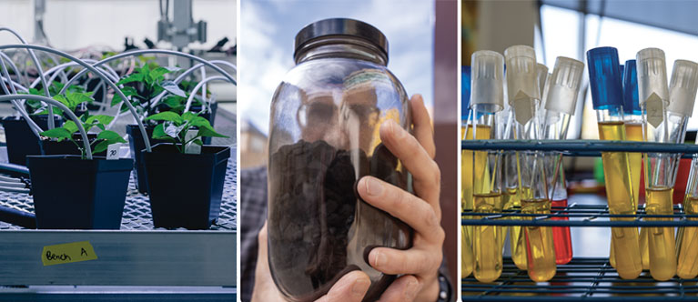 three images showing plants, a glass jar of coal, and test tubes