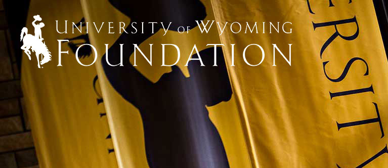 closeup of UW flags