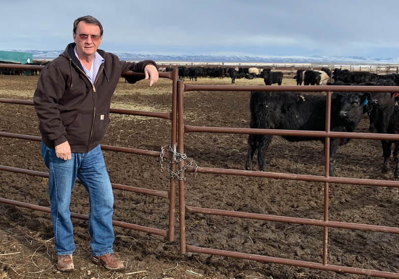 man by a fenced pen of cattle