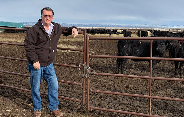man on a ranch stands by a fence with cattle
