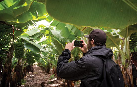 male student takes a picture of large plants