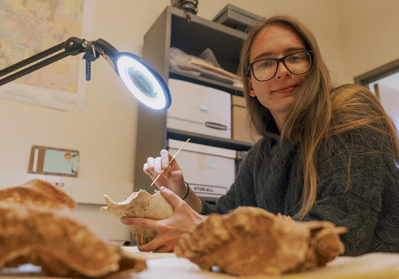 student working with old bones