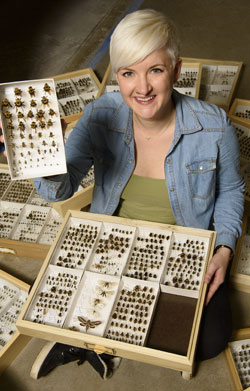 woman with large collection of pinned insects