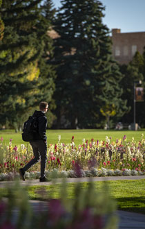 person walking beside flowers on campus