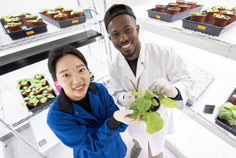 people in a white room with plants