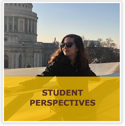 Student Perspectives with student abroad