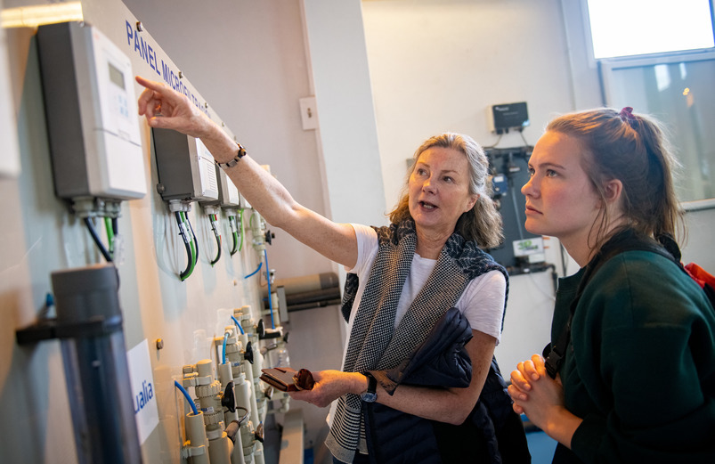 Faculty teaching a study abroad class