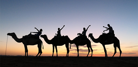 Students riding camels in the Sahara Desert, Morocco