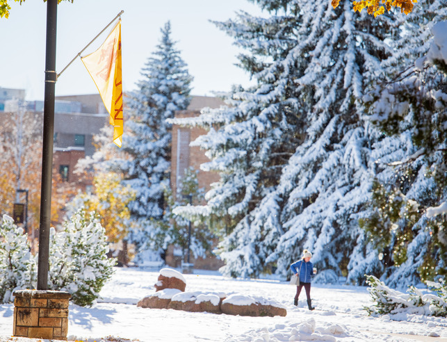 Students walking on campus in autumn after snowfall. 
