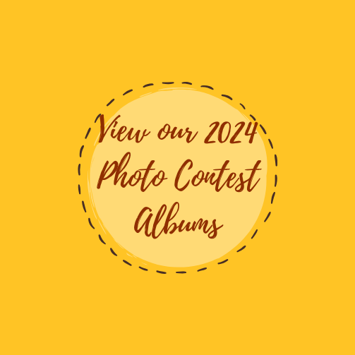 View our 2024 Photo Contest Albums