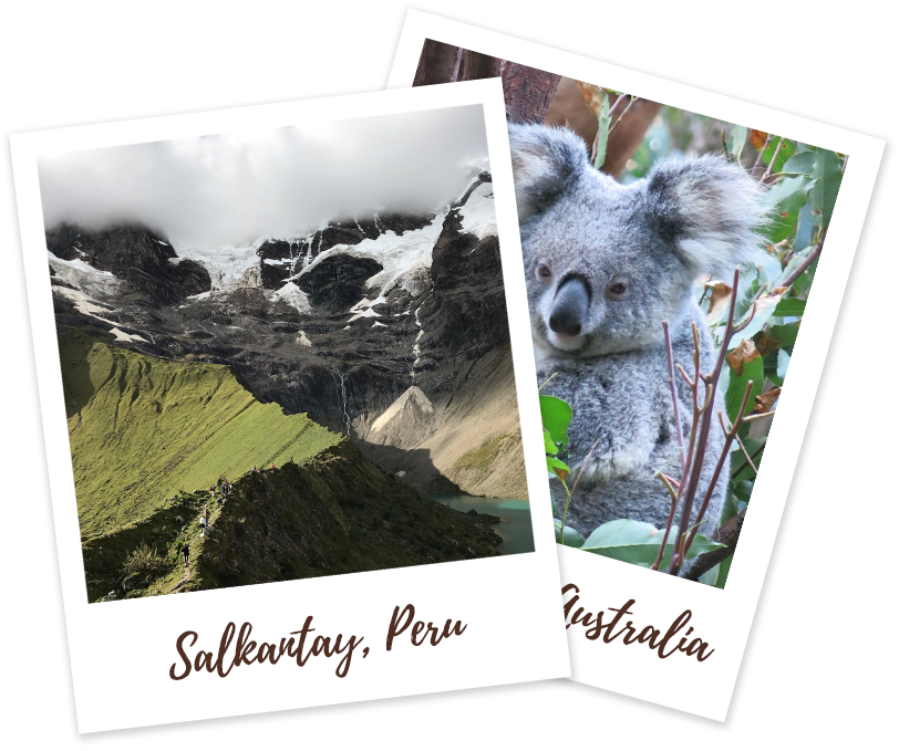 Salkantay, Peru mountains and Koala in Australia