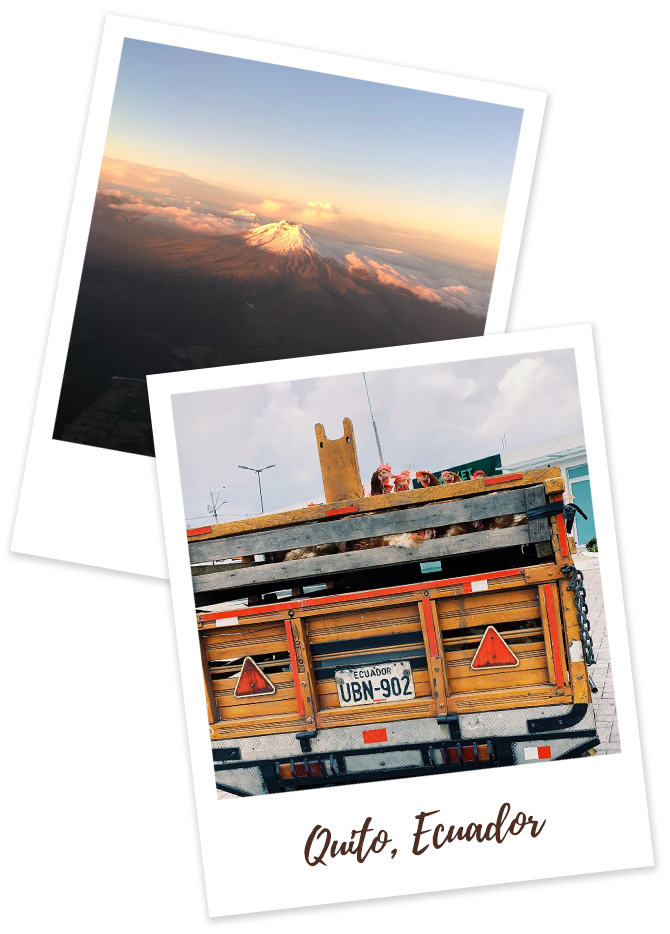 Quito, Ecuador truck with chickens and volcano picture