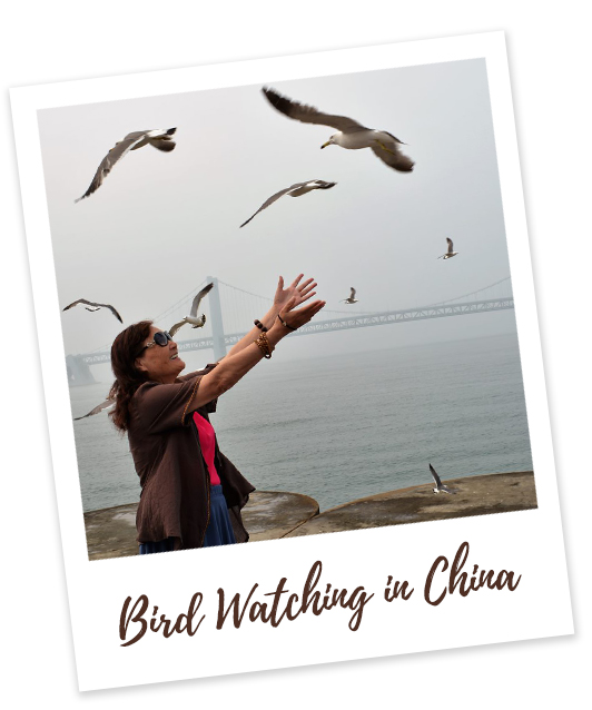 Bird Watching in China