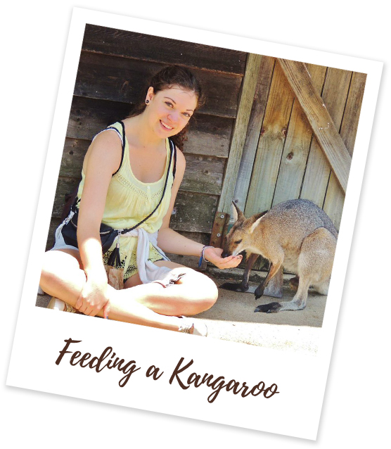 Feeding a Kangaroo in Australia