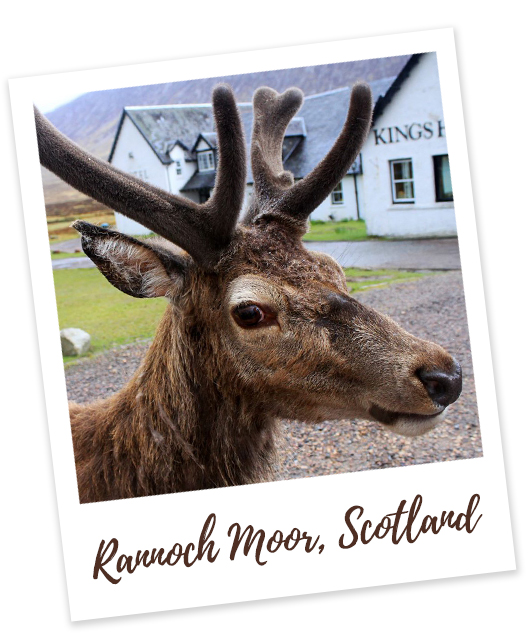 Rannoch Moor, Scotland