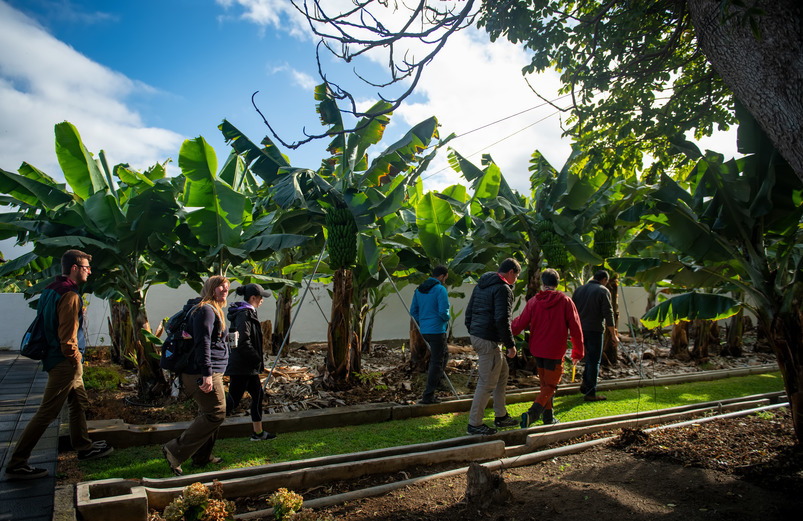Students walking in the Canary Islands
