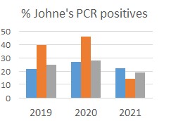 johnes pcr positives