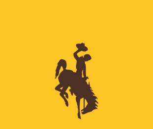 icon of steamboat logo