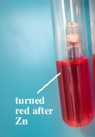 Nitrate Negative