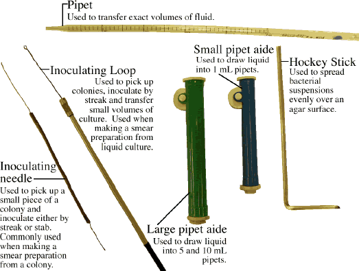 Microbiologists' Tools