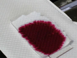 carbolfuchsin dye papertowel