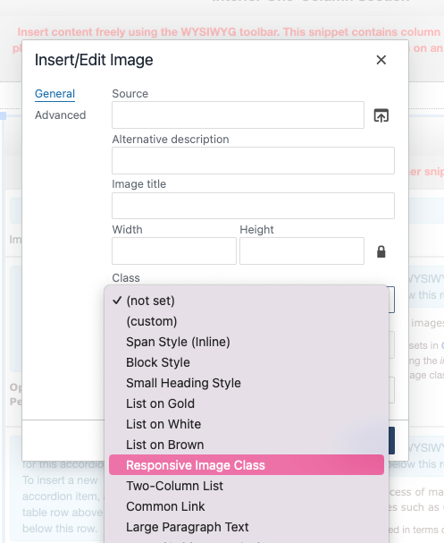 showing where to set the responsive image class from the insert/edit image window