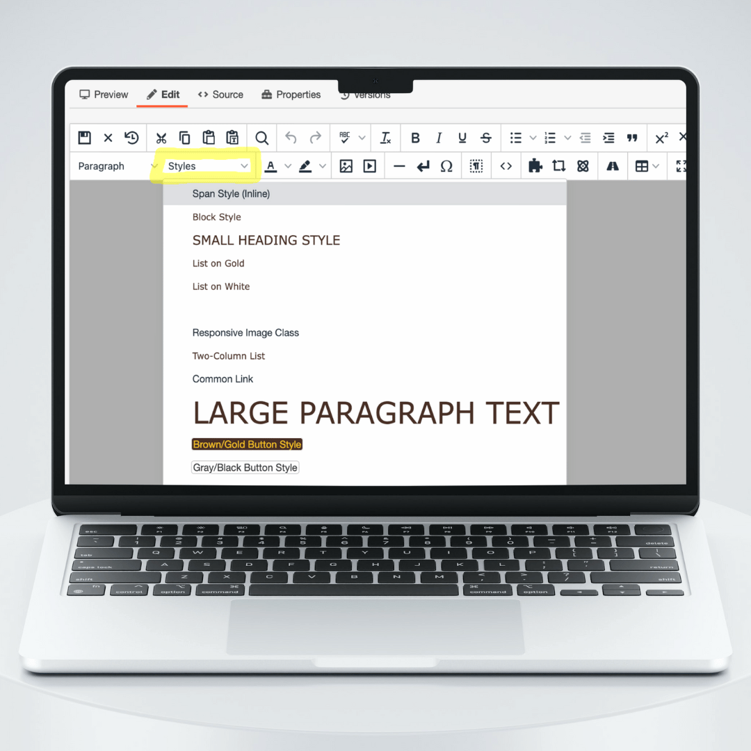 A computer mockup with the Omni WYSIWYG text styles dropdown toolbar expanded on the screen.