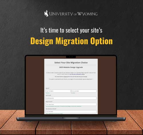 A thumbnail of the design upgrade migration choice form email.