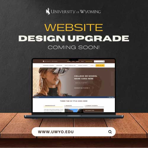 A thumbnail of the design upgrade announcement email header.