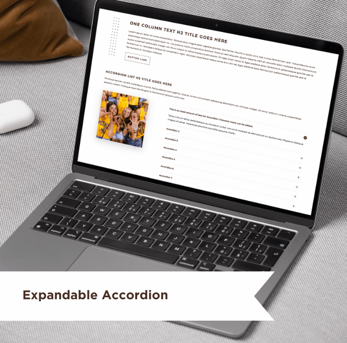Website mockup 7