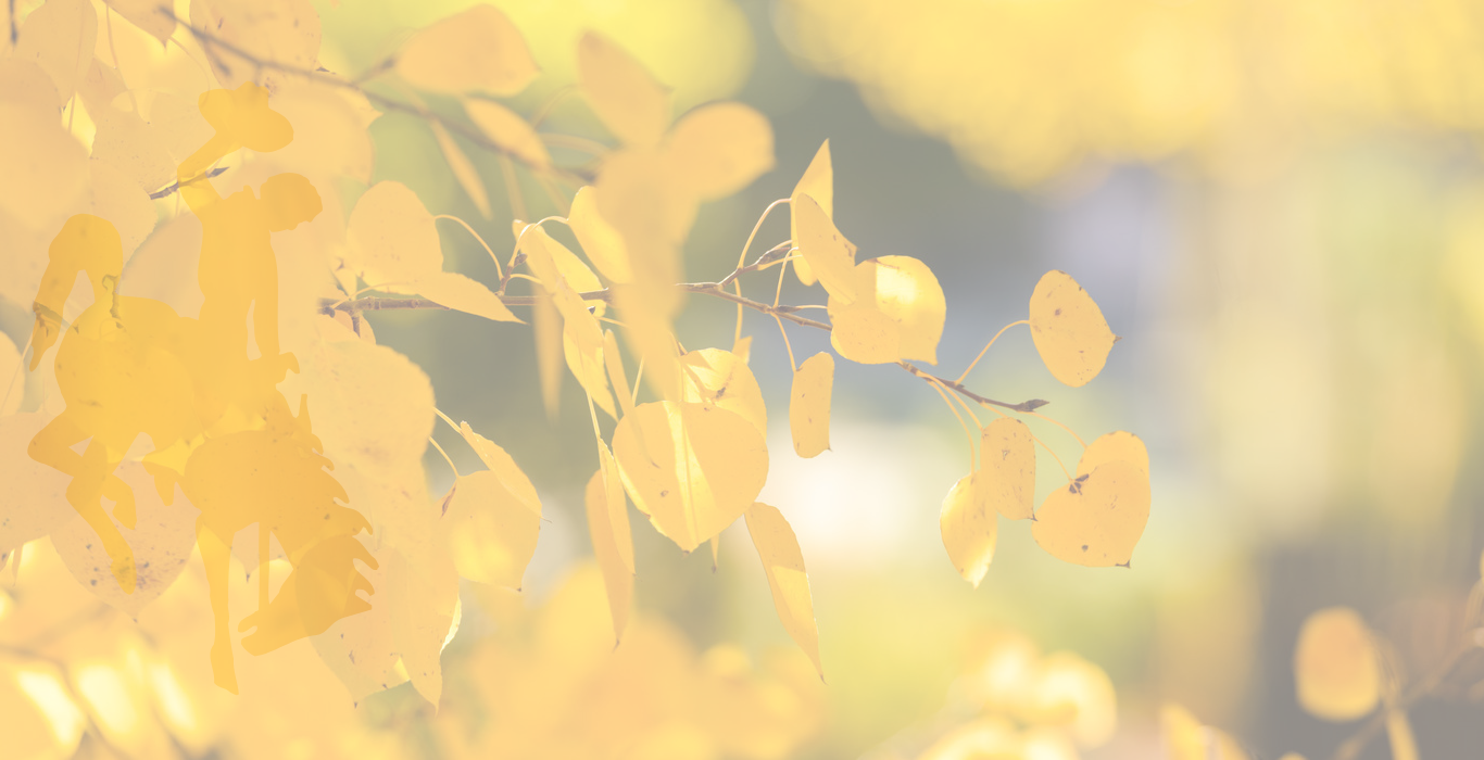 The steamboat bucking horse with yellow leaves in fall as the background