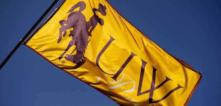 Yellow UW flag with steamboat logo. 