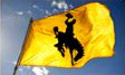 bucking horse and rider on yellow flag